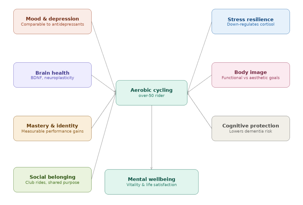 Mental Health Benefits of Over50 Cycling